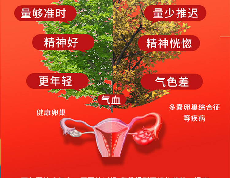 4福圆知子膏02.jpg